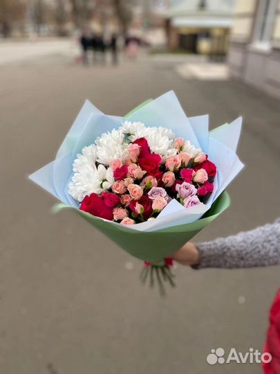 Хризантема кустовые розы цветы