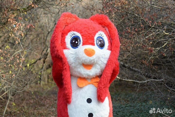 Детская анимация