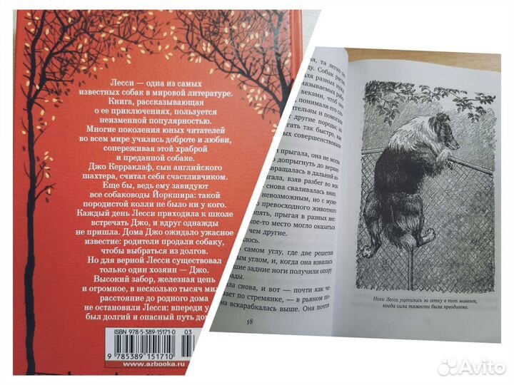 Детские книги: Лесси, сказки Барда Бидля, Корги