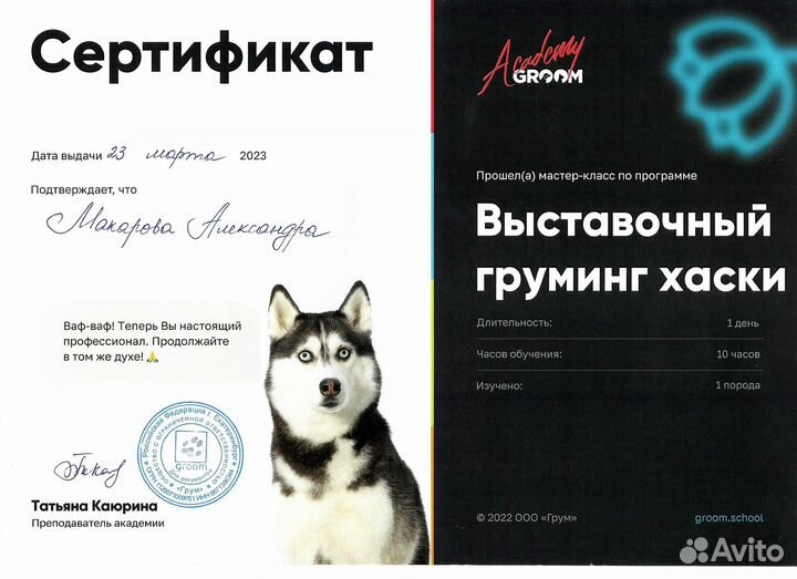 Груминг собак