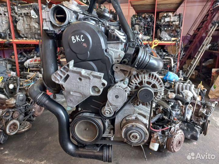Двигатель BKC 1.9 TDI VW Passat B6, Golf 5, T5
