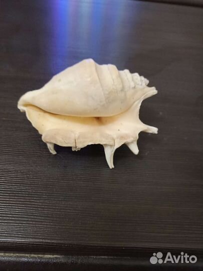 Декор для аквариума