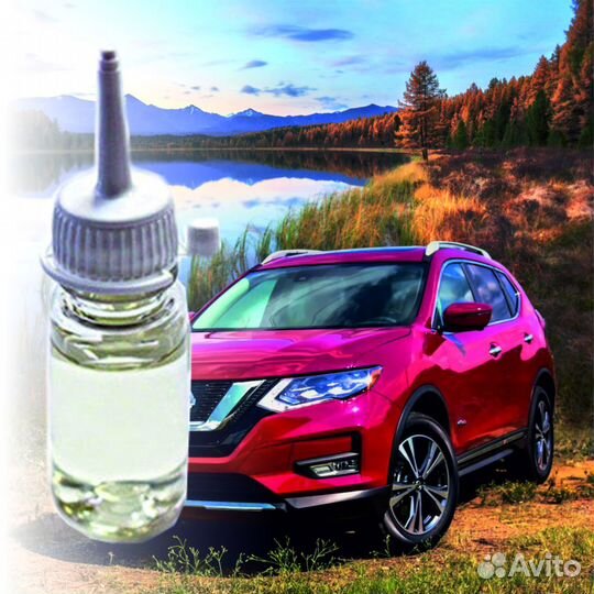 Отдушка New car 50гр
