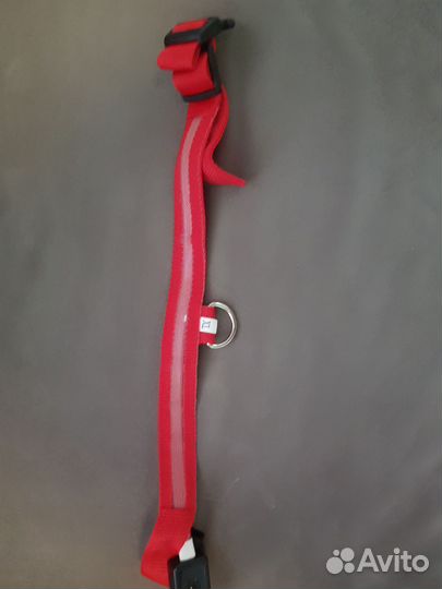 Светящийся ошейник