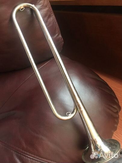 Горн позывной