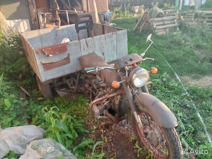 Днепр-муравей