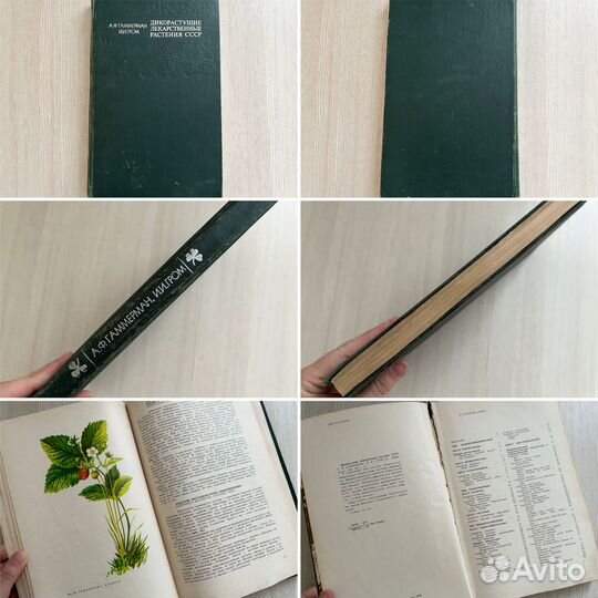 Лекарственные растения книги СССР