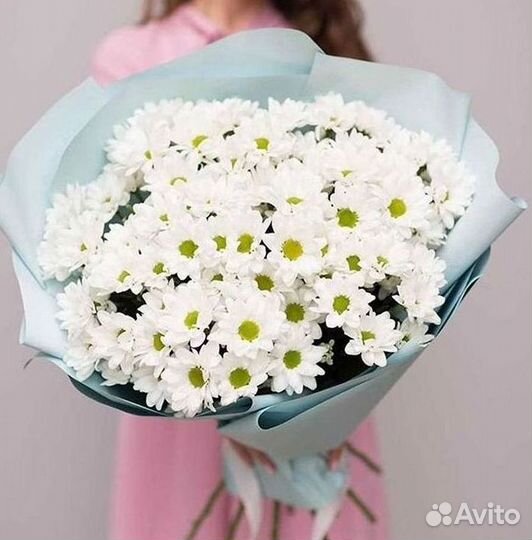 Хризантема Доставка цветов