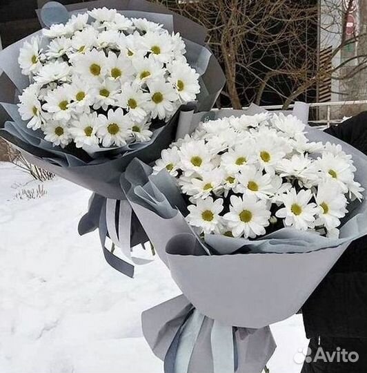Доставка букетов и цветов. Хризантема