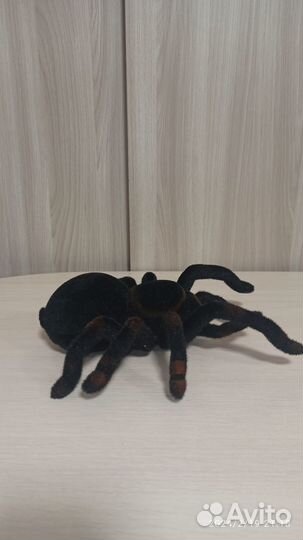 Паук на радиоуправлении