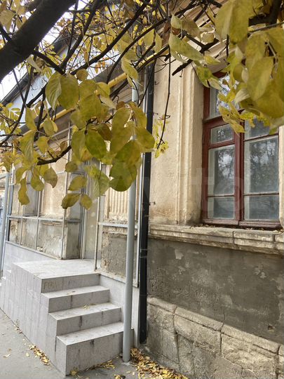 Офис, 45 м²