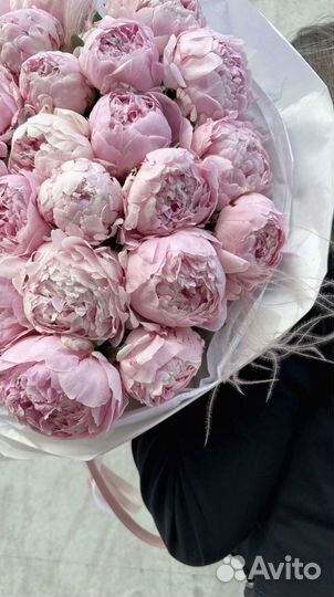 Букет пионов. Доставка в аквабоксе