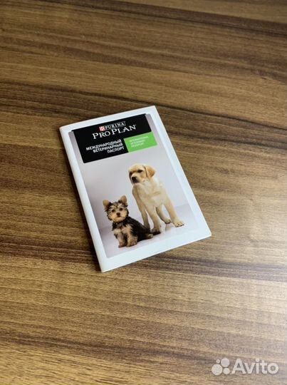 Паспорт для собаки новый