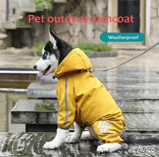 Плащ для собаки