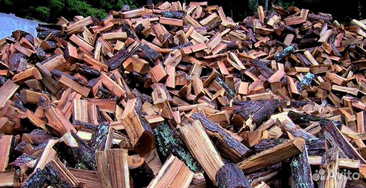 Дрова Береза