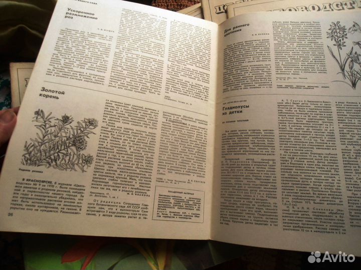 Старые журналы Цветоводство 1975г