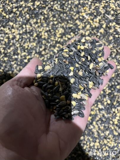 Соя половинки