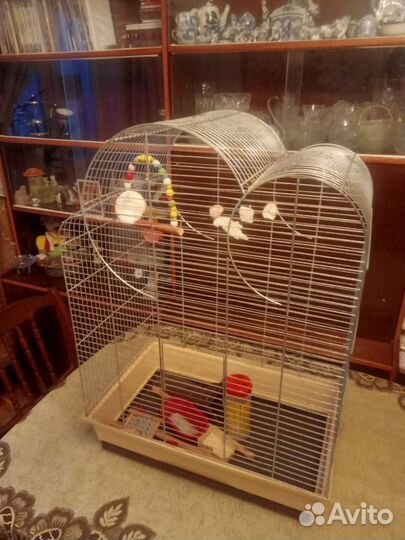 Клетка для крупного попугая