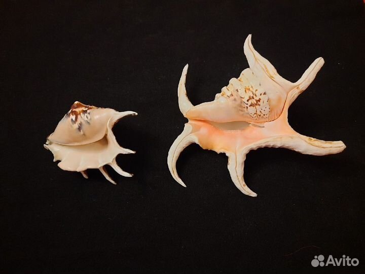 Украшение для кухни