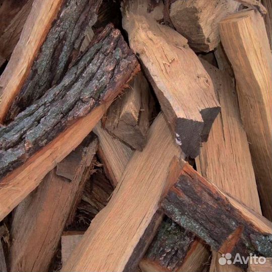 Дрова Береза