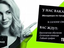 Продавец консультант