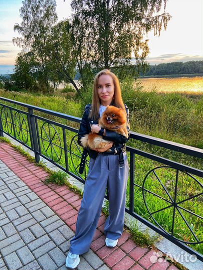 Администратор