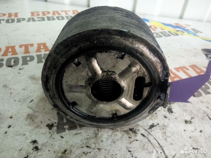 Ниссан Навара Масляный теплообменник