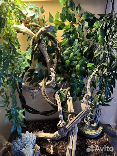 Принадлежности для террариума