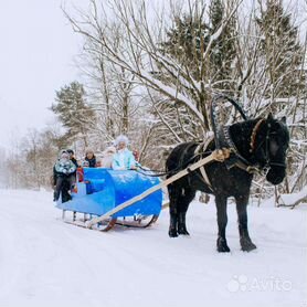 Идеи на тему «Сани и лошади» () в г | лошади, сани, пейзажи