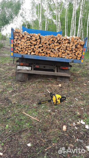 Берёза Колотая с Доставкой