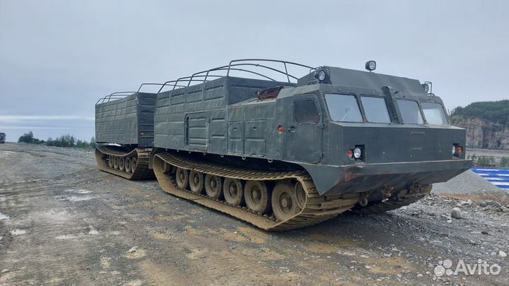 Витязь дт-30П