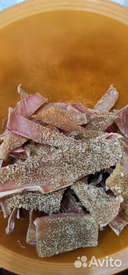 Лакомства для животных из инфракрасной печи