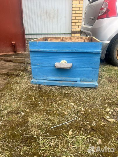 Продам ульи для пчел