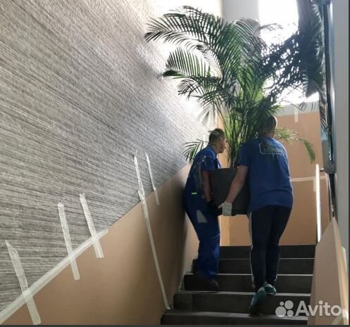 Грузоперевозки Переезды Грузчики Газель