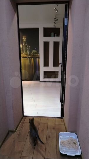 Комната 43 м² в 2-к., 3/5 эт.