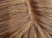 Парик из натуральных волос (полусиситема )