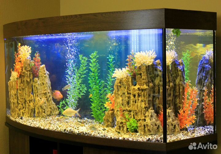 Обслуживание аквариумов