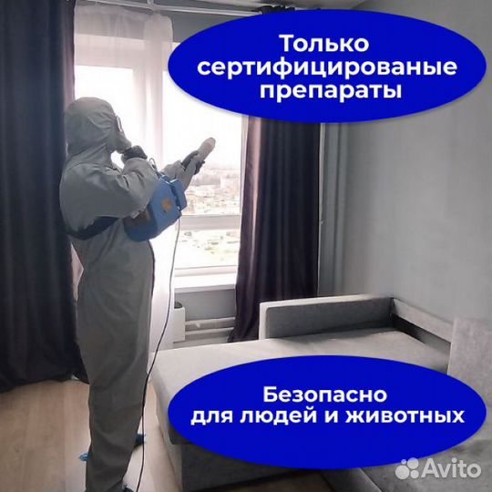 Уничтожение клопов, тараканов, кротов. Дезинфекция