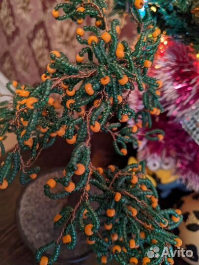 Апельсиновое дерево