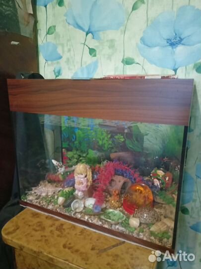 Аквариум
