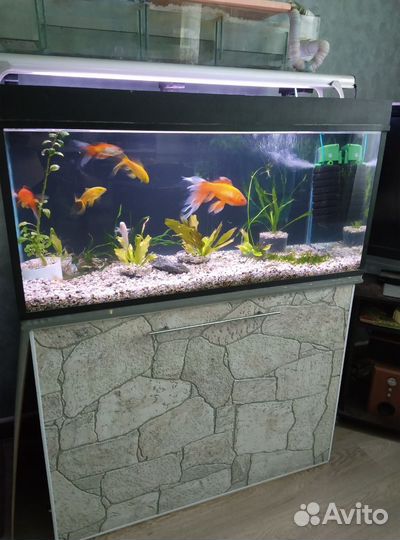 Аквариум