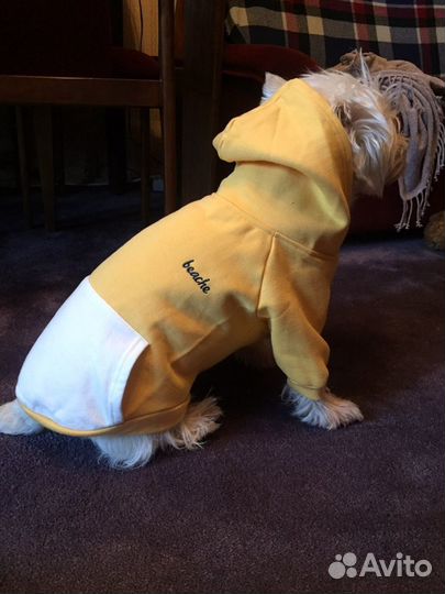 Толстовка для собак