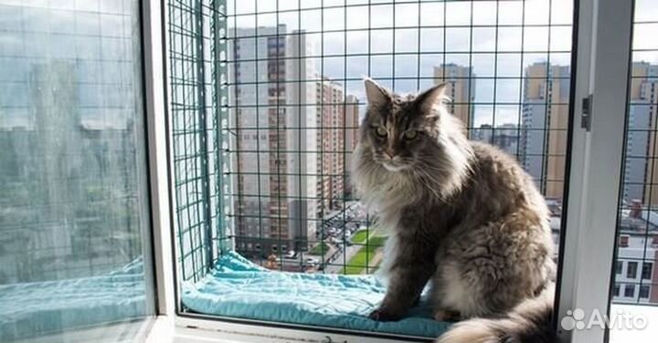 Балкончик для кошки