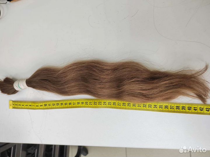 Неокрашенный срез волос