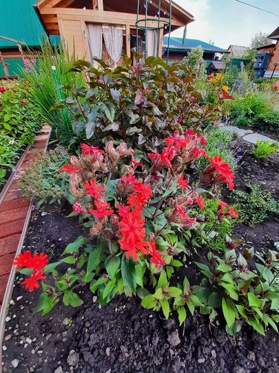 Коттедж 90 м² на участке 5,9 сот.