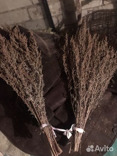 Веники для бани