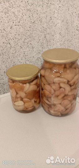 Грибы маслята подосиновики опята рыжики