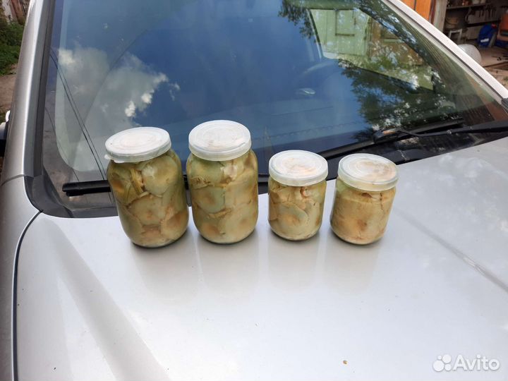 Грибы грузди соленые