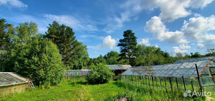 Аренда квартир посуточно
