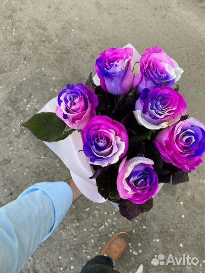 7 роз баббл гам. Бесплатная доставка